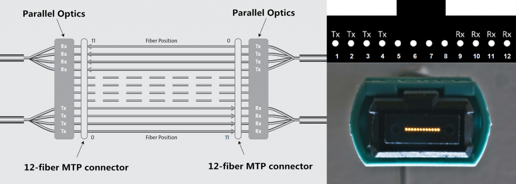 12-fiber-MTP-parallel-connection-1024x366
