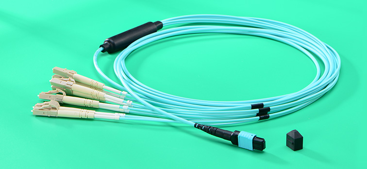 MTP harness cable