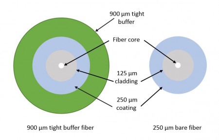 250um-Fiber-vs.-900um-Tight-Buffer-Fiber